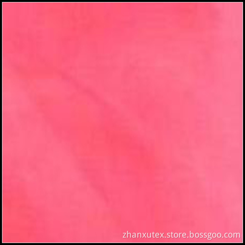 SGS Nylon Taffeta Ripstop Fabric (ZX-NSF061439)